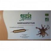 GPH DIFFUSION HARPAGOPHYTUM...