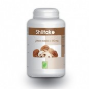 GPH DIFFUSION SHIITAKE 100...