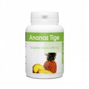 GPH DIFFUSION ANANAS TIGE -...