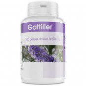 GPH DIFFUSION GATTILIER...