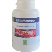 GPH DIFFUSION LITHOTAME 200...