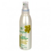Beliflor RESTRUCTURANT...