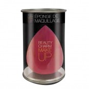 BEAUTY CHARM EPONGE DE...