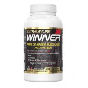 WINNER GAINER Prise De...