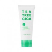 NATURE REPUBLIC GREEN DERMA...