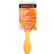 Lionesse Brosse à cheveux...