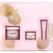 CAUDALIE RESVERATROL LIFT...