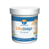 FENIOUX LithoGinkgo 120...
