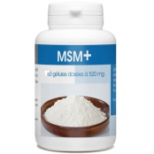 GPH DIFFUSION MSM+ 520 mg |...