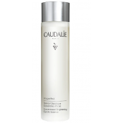 CAUDALIE VINOPERFECT...