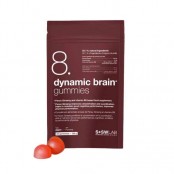 SSWLAB 8 DYNAMIC BRAIN...