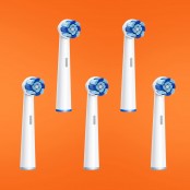 Bitvae Têtes de brosse à...