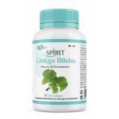 Spirit Ginkgo Biloba 90...