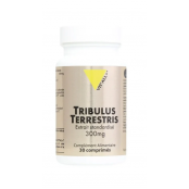 VIT'ALL+ TRIBULUS...