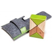 Tegu Pocket Magnétique -...