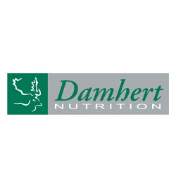 Damhert